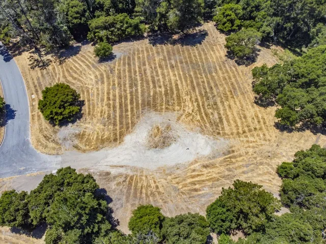 a view of water yard with large trees