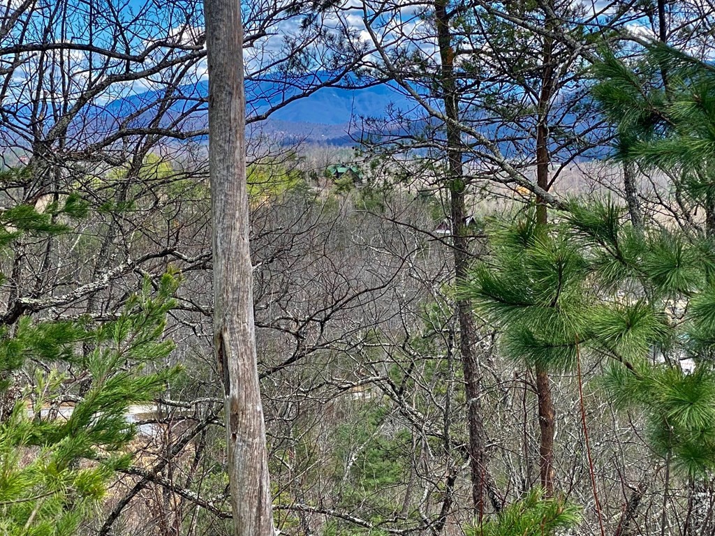 1749 Pinestand Rdg Way Sevierville, TN 37862 - Photo 3 of 5