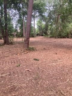 8819 Dowdell Road Tomball, TX 77375 - Photo 13 of 17