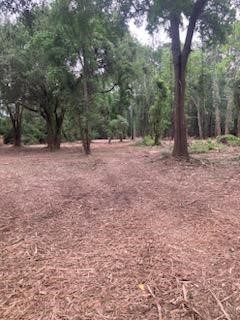 8819 Dowdell Road Tomball, TX 77375 - Photo 14 of 17