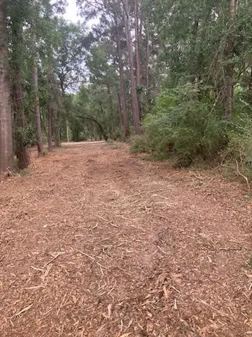 $1,495,000 | 8819 Dowdell Road, Tomball, TX 77375