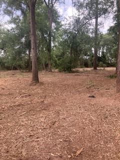 8819 Dowdell Road Tomball, TX 77375 - Photo 16 of 17