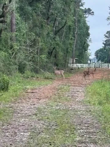 $1,495,000 | 8819 Dowdell Road, Tomball, TX 77375