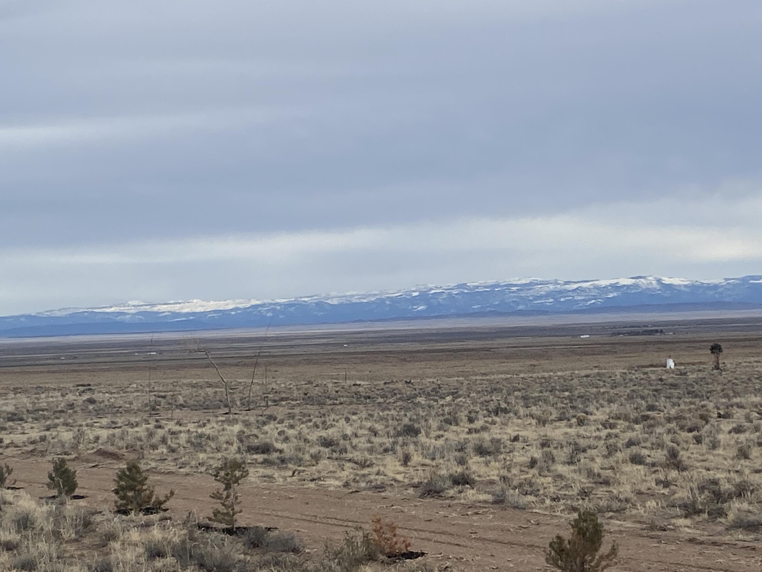 NW Property Line Looking East