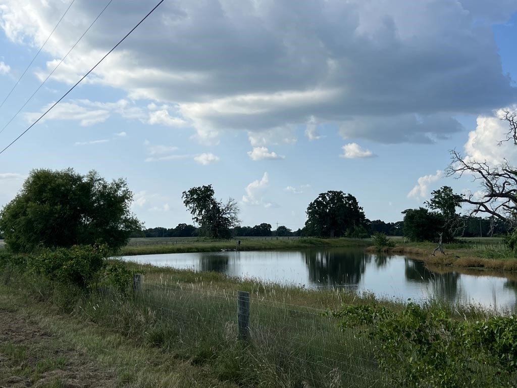15130 Fm 39 Road Bedias, TX 77831 - Photo 21 of 26