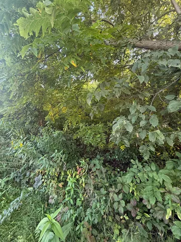 $25,000 | 114 West Glen Hollow Road, Galena, IL 61036