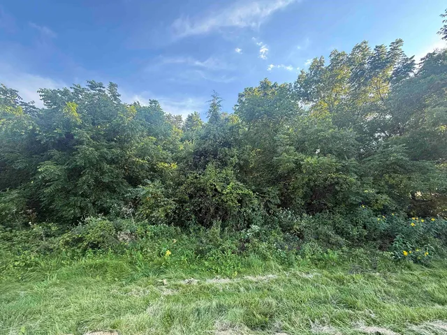 $25,000 | 114 West Glen Hollow Road, Galena, IL 61036