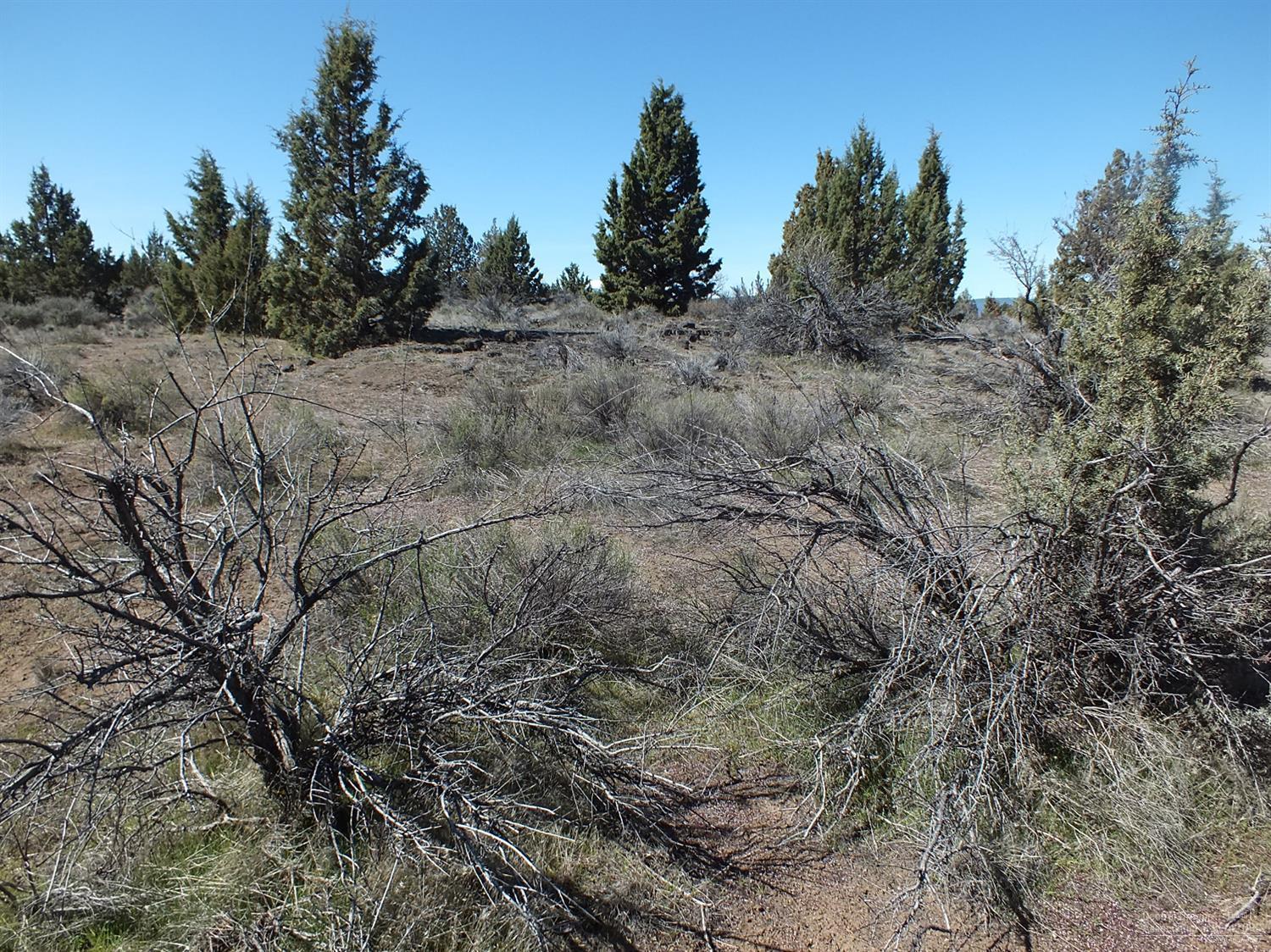 0 Southwest Sage Hen Road Terrebonne, OR 97760 - Photo 14 of 24 Additional Photo