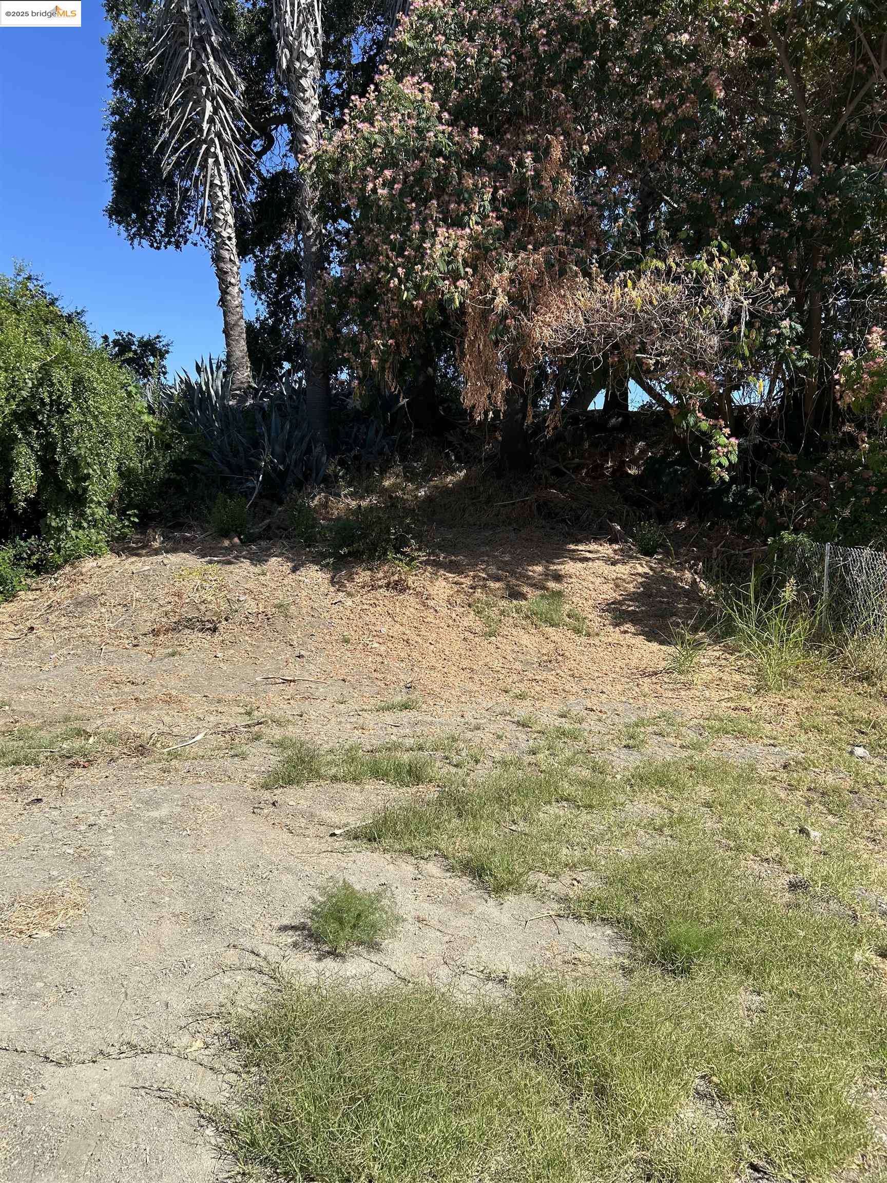 39 Main Street Isleton, CA 95641 - Photo 20 of 29 View of yard