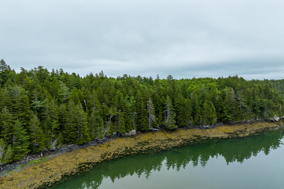Lot 27 Coffins Neck Road Lubec, ME 04652 - Photo 2 of 27 21-Lot 27 Coffins Neck Road LoRes-DTP
