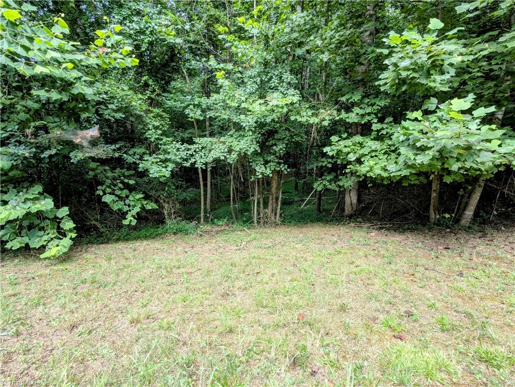 3636 Fall Creek Church Road Jonesville, NC 28642 - Photo 16 of 18 Backyard