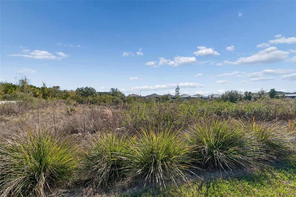 4848 Rosatti Road Wesley Chapel, FL 33543 - Photo 64 of 90