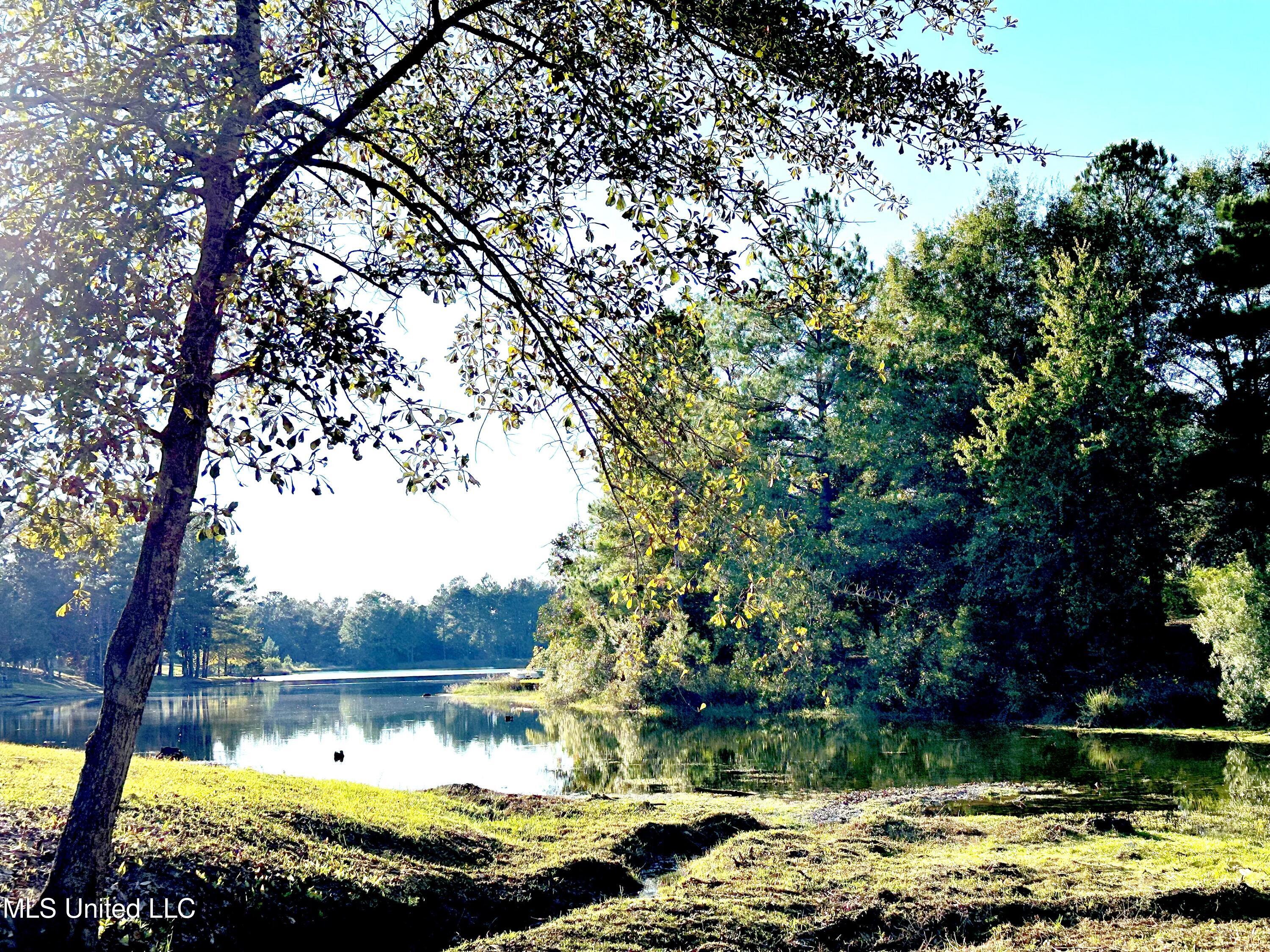 8289 Ridgewood Road Kiln, MS 39556 - Photo 3 of 66 IMG_4174