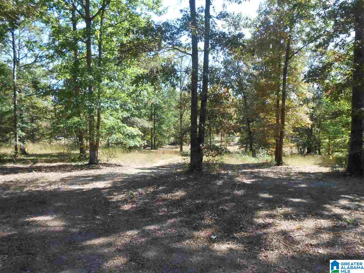 11 Highway Steele Al Steele, AL 35987 - Photo 3 of 8