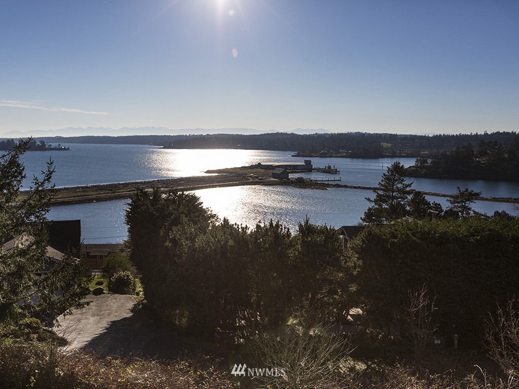 164 Pelican Way Friday Harbor, WA 98250 - Photo 3 of 13