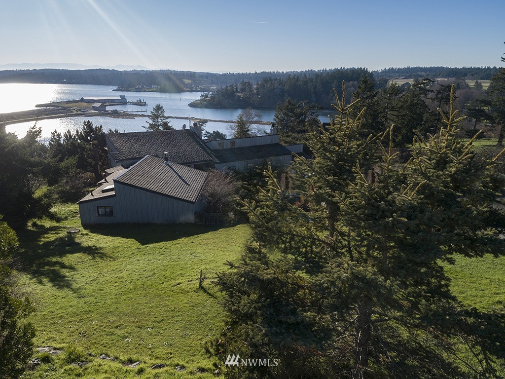 164 Pelican Way Friday Harbor, WA 98250 - Photo 5 of 13 an aerial view of residential houses with outdoor space and trees