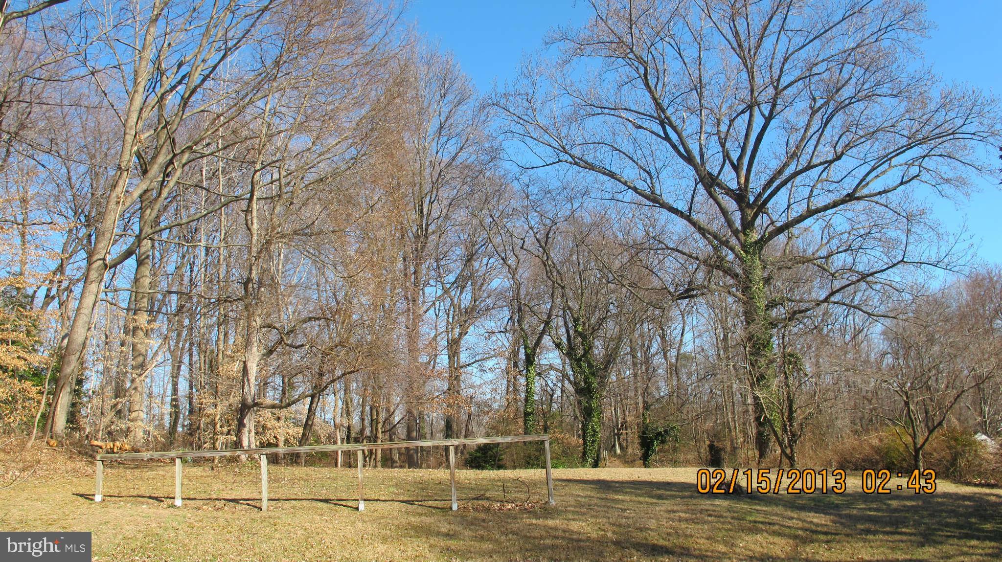 8221 Higham Road Lorton, VA 22079 - Photo 26 of 30 Back yard with beautiful azaleas and apple tree