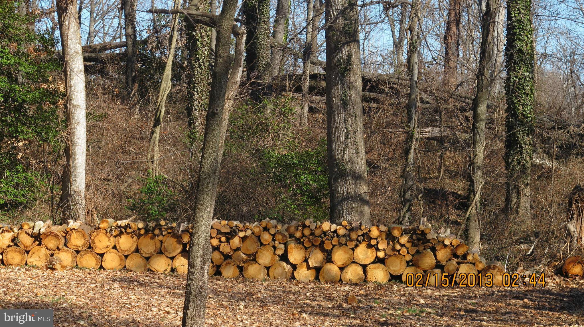 8221 Higham Road Lorton, VA 22079 - Photo 27 of 30 Back yard firewood pile up against large trees