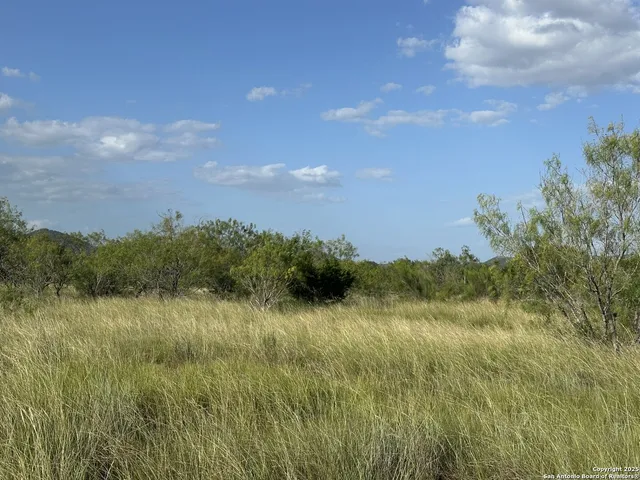 $110,000 | Tract 59 Fm 470, Tarpley, TX 78883