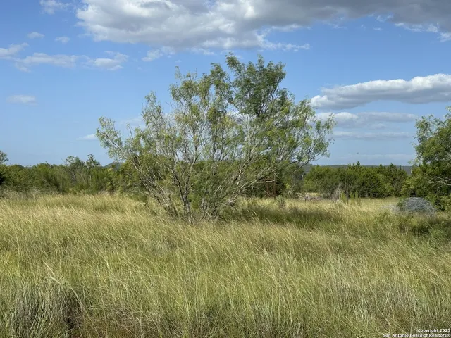 $110,000 | Tract 59 Fm 470, Tarpley, TX 78883