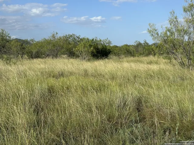 $110,000 | Tract 59 Fm 470, Tarpley, TX 78883