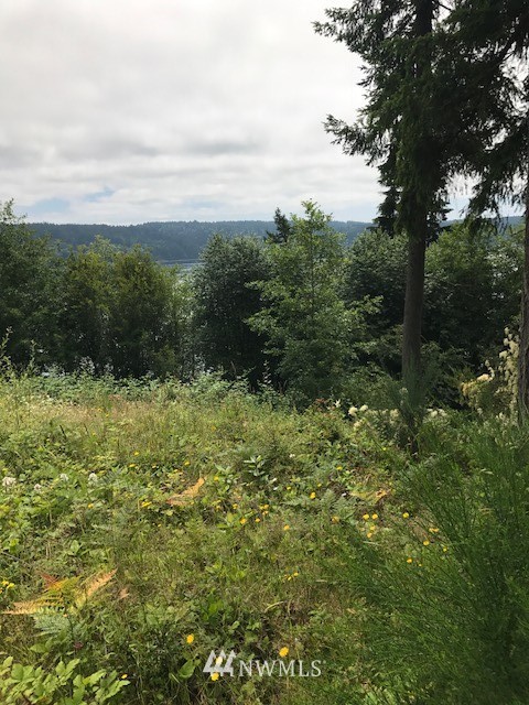 13689 Banner Road Southeast Olalla, WA 98359 - Photo 2 of 4 Gallery Image 2
