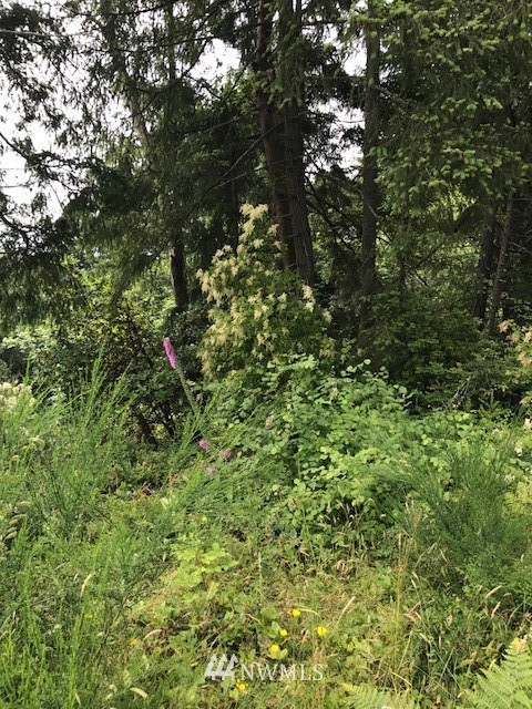 13689 Banner Road Southeast Olalla, WA 98359 - Photo 3 of 4 Gallery Image 3