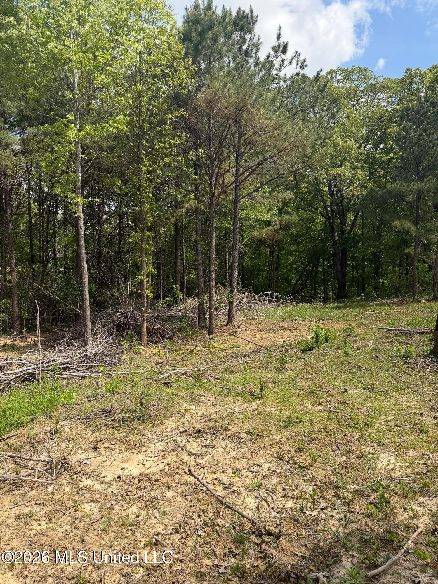 Lot 4 Cayce Road Byhalia, MS 38611 - Photo 2 of 4 5dc5297c-5da7-4b1f-becd-253c455274a0