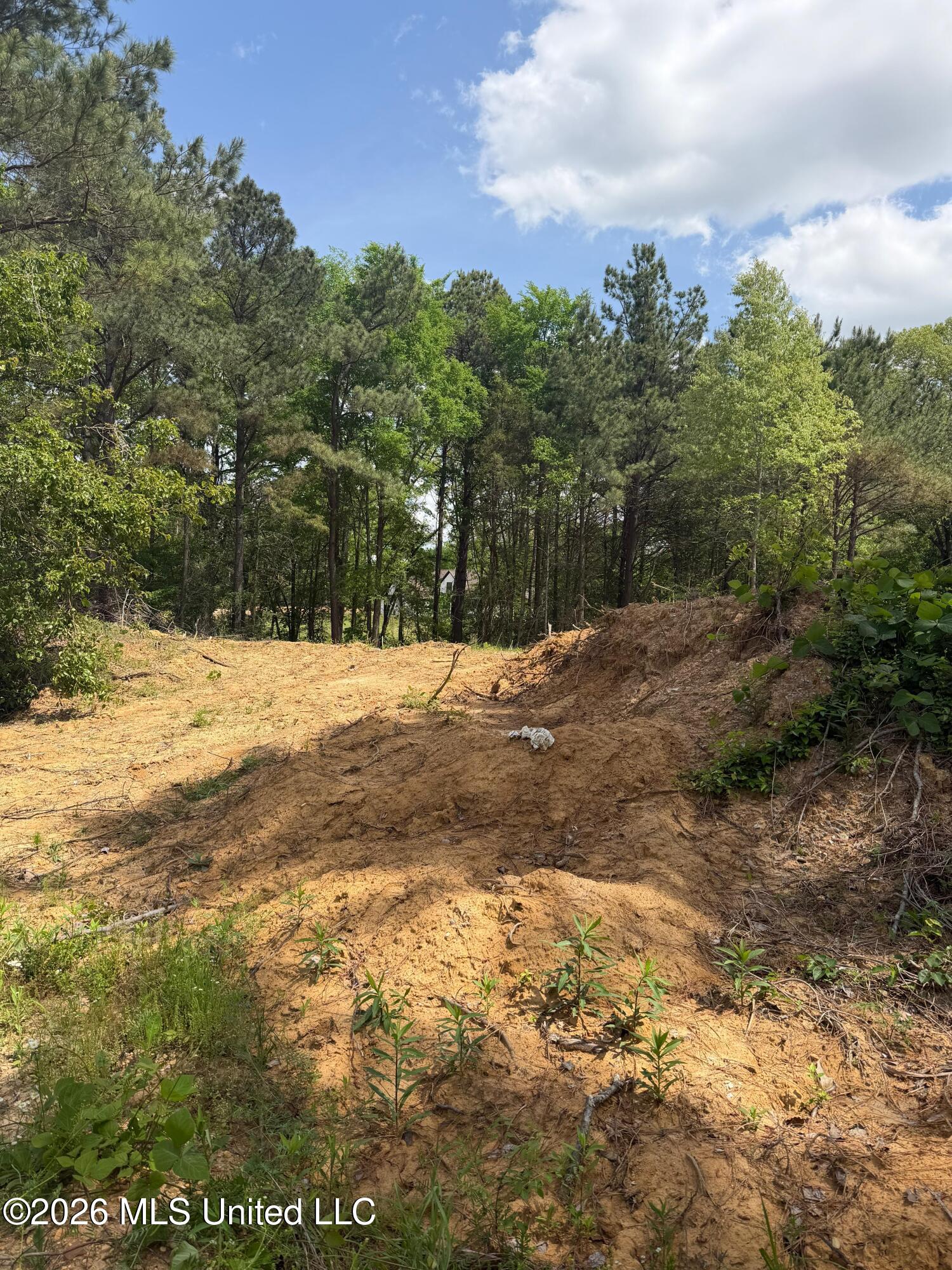 Lot 4 Cayce Road Byhalia, MS 38611 - Photo 3 of 4 45ae3b4e-63e9-4e48-a67f-87d719dc14cc