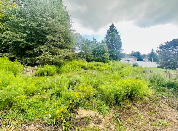 a view of a garden with a tree