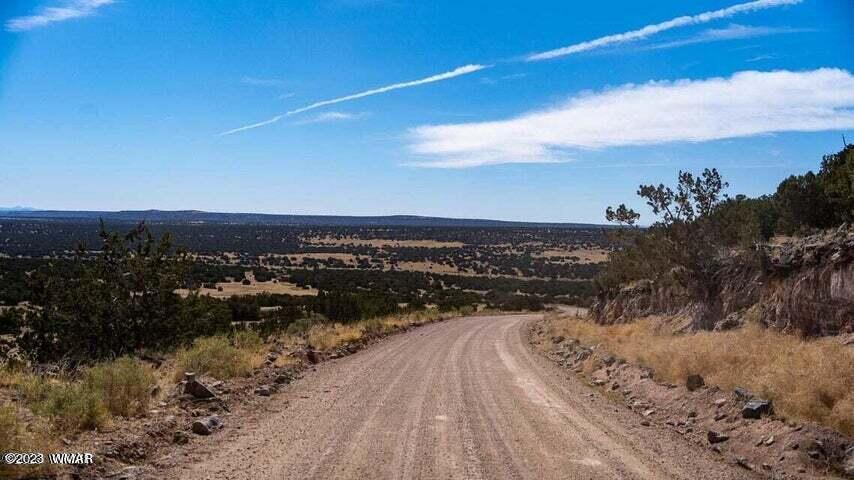 Lot 38 Elk Valley Ranch St. Johns, AZ 85936 - Photo 1 of 26