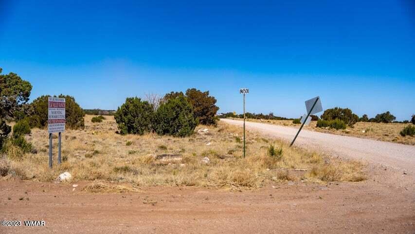 Lot 38 Elk Valley Ranch St. Johns, AZ 85936 - Photo 11 of 26