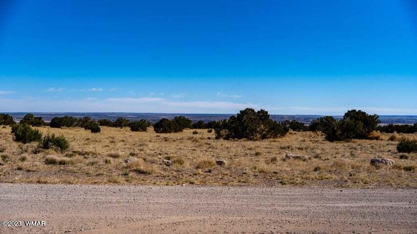 Lot 38 Elk Valley Ranch St. Johns, AZ 85936 - Photo 12 of 26
