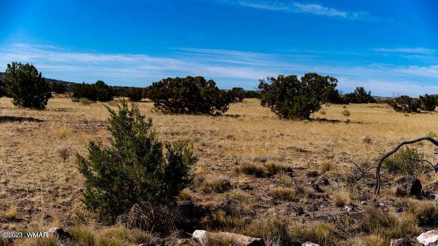 Lot 38 Elk Valley Ranch St. Johns, AZ 85936 - Photo 13 of 26