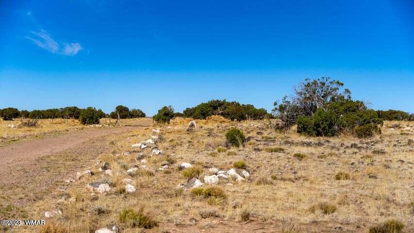 Lot 38 Elk Valley Ranch St. Johns, AZ 85936 - Photo 14 of 26