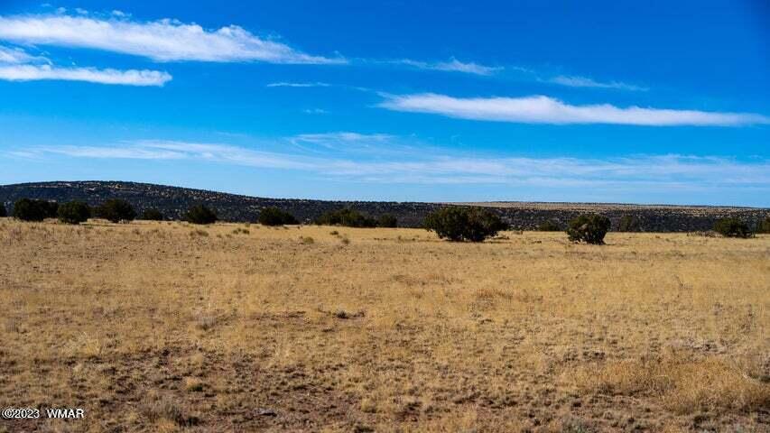 Lot 38 Elk Valley Ranch St. Johns, AZ 85936 - Photo 15 of 26