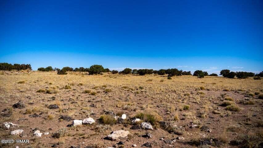 Lot 38 Elk Valley Ranch St. Johns, AZ 85936 - Photo 16 of 26