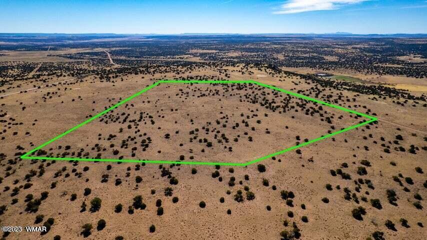 Lot 38 Elk Valley Ranch St. Johns, AZ 85936 - Photo 17 of 26