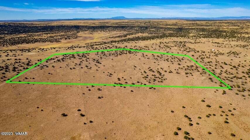 Lot 38 Elk Valley Ranch St. Johns, AZ 85936 - Photo 20 of 26