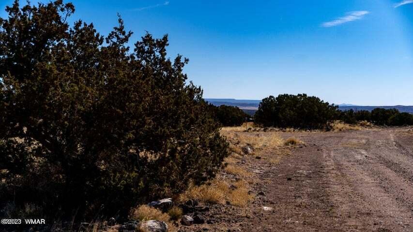 Lot 38 Elk Valley Ranch St. Johns, AZ 85936 - Photo 2 of 26