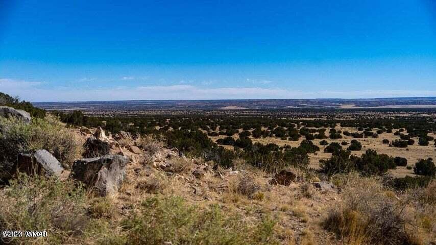 Lot 38 Elk Valley Ranch St. Johns, AZ 85936 - Photo 3 of 26