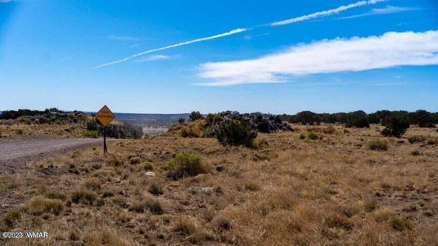 Lot 38 Elk Valley Ranch St. Johns, AZ 85936 - Photo 5 of 26
