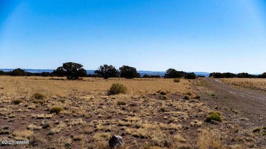 Lot 38 Elk Valley Ranch St. Johns, AZ 85936 - Photo 7 of 26