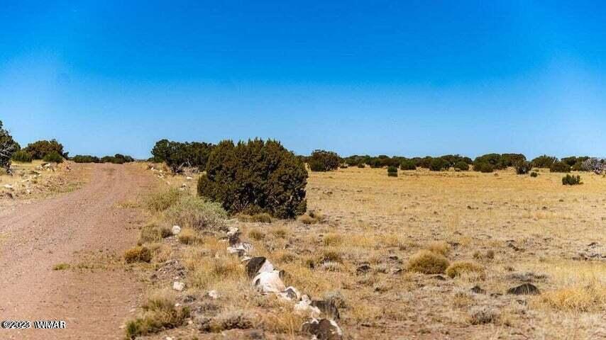 Lot 38 Elk Valley Ranch St. Johns, AZ 85936 - Photo 8 of 26