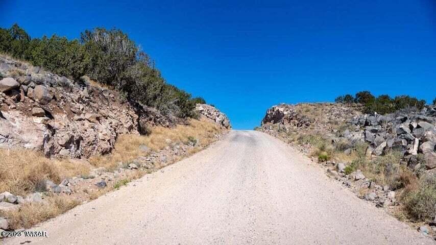 Lot 38 Elk Valley Ranch St. Johns, AZ 85936 - Photo 9 of 26