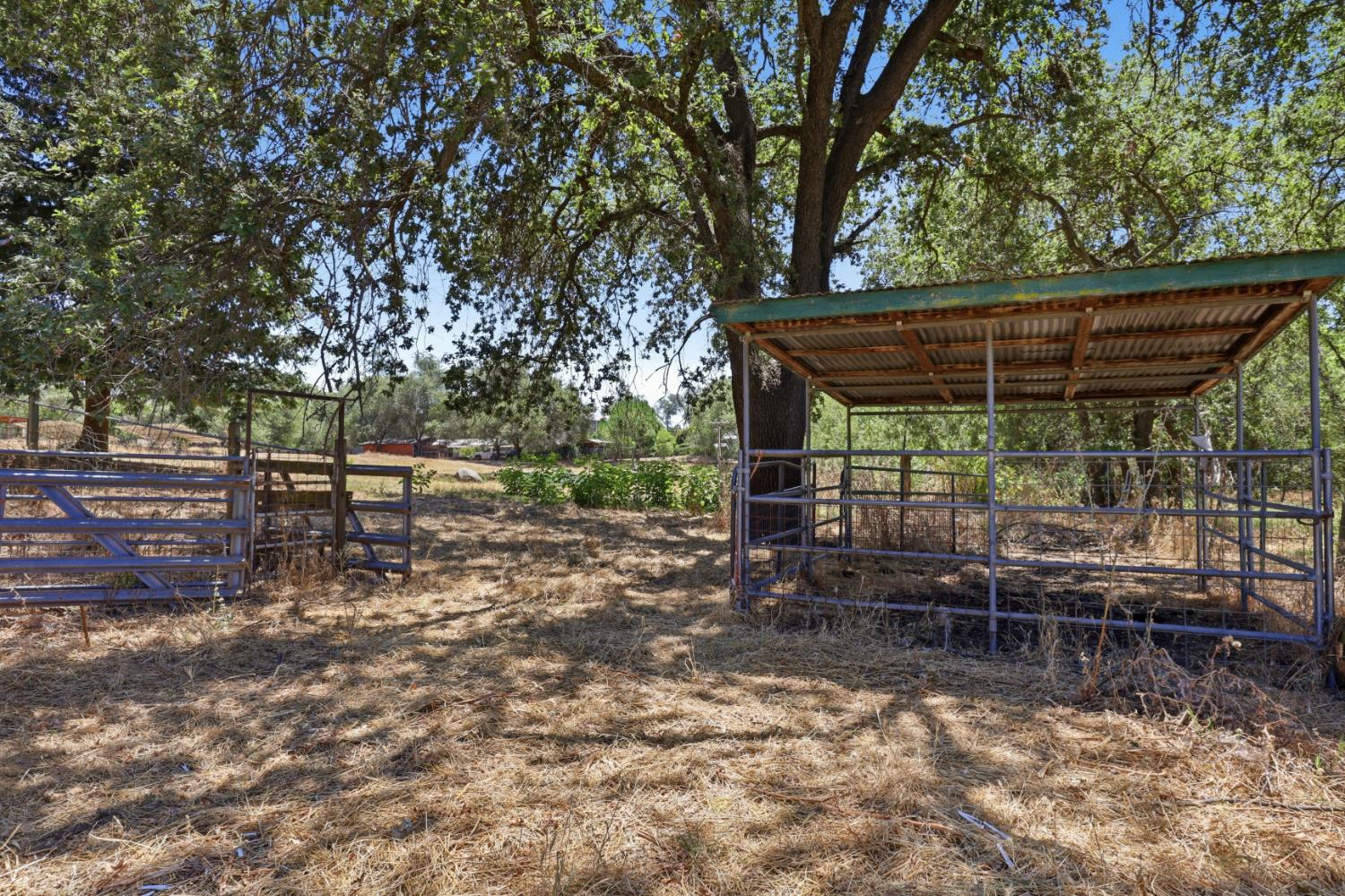 4050 Burnett Road Lincoln, CA 95648 - Photo 52 of 68 Horse run in shelter