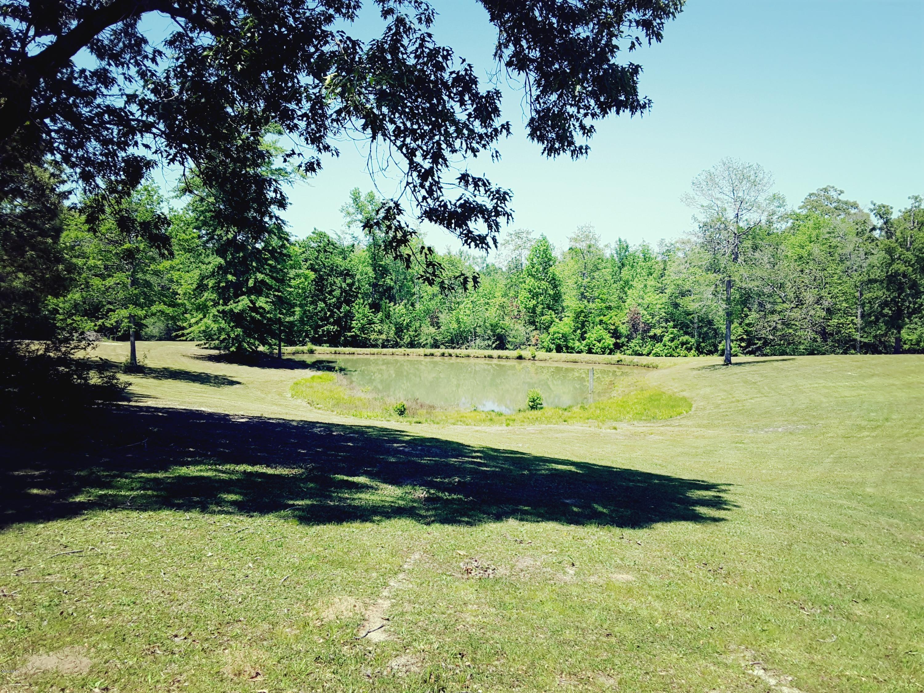 28 Wynell Road Perkinston, MS 39573 - Photo 35 of 43 20180429_132810