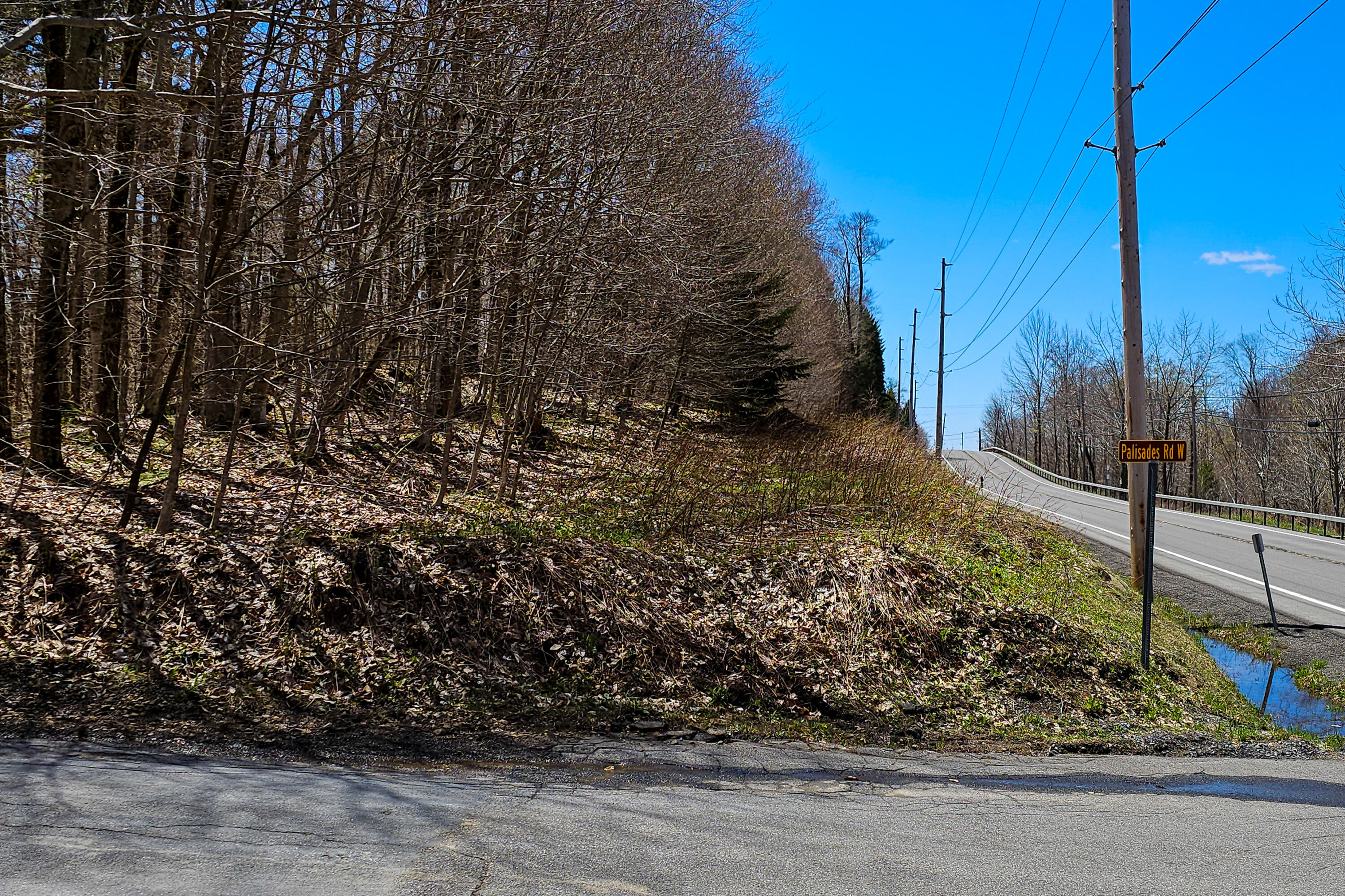 0 Palisades Road West Old Forge, NY 13420 - Photo 15 of 15 Road Frontage