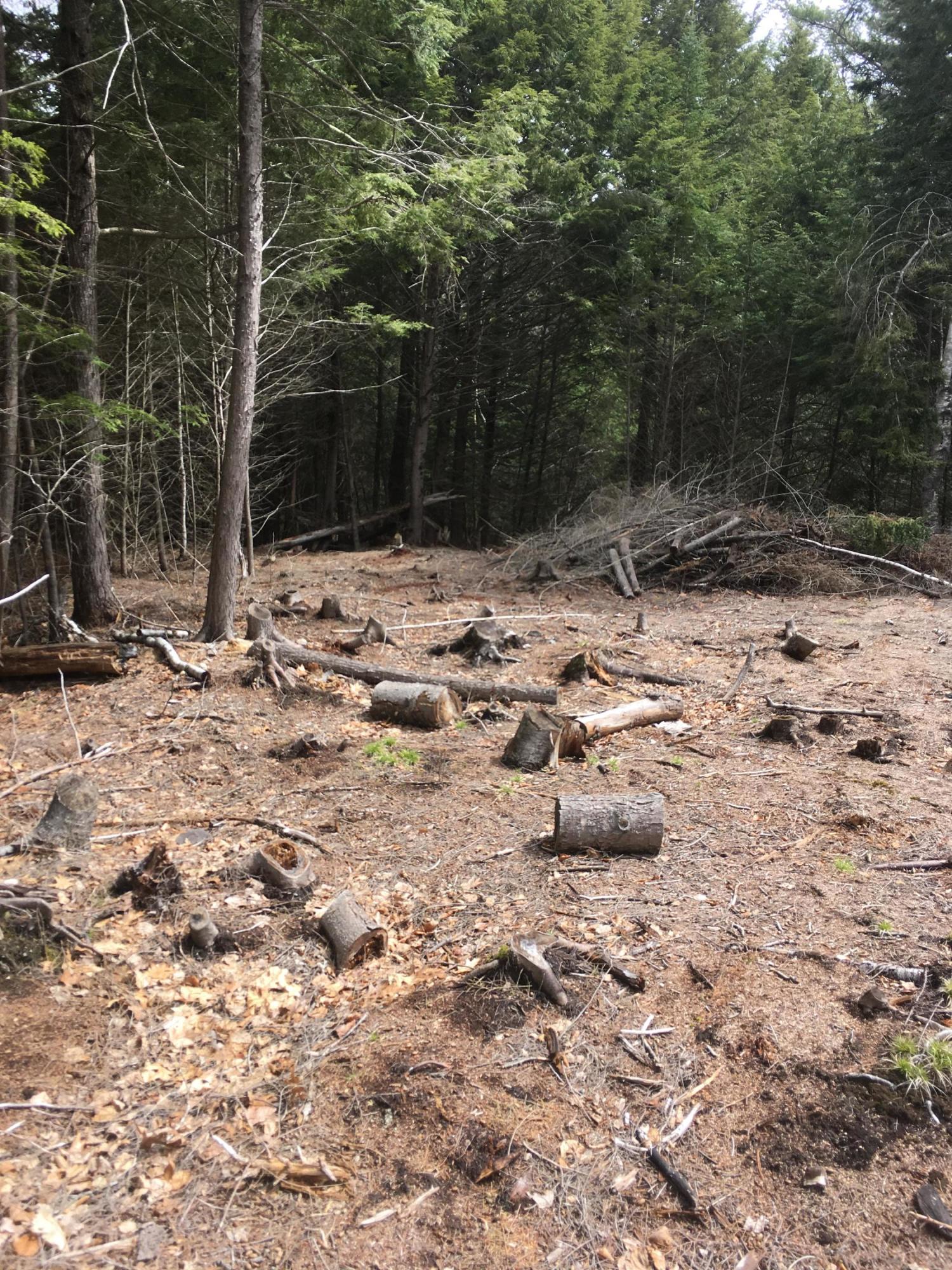 1 Clarks Point Road Wiscasset, ME 04578 - Photo 21 of 32 IMG_0486