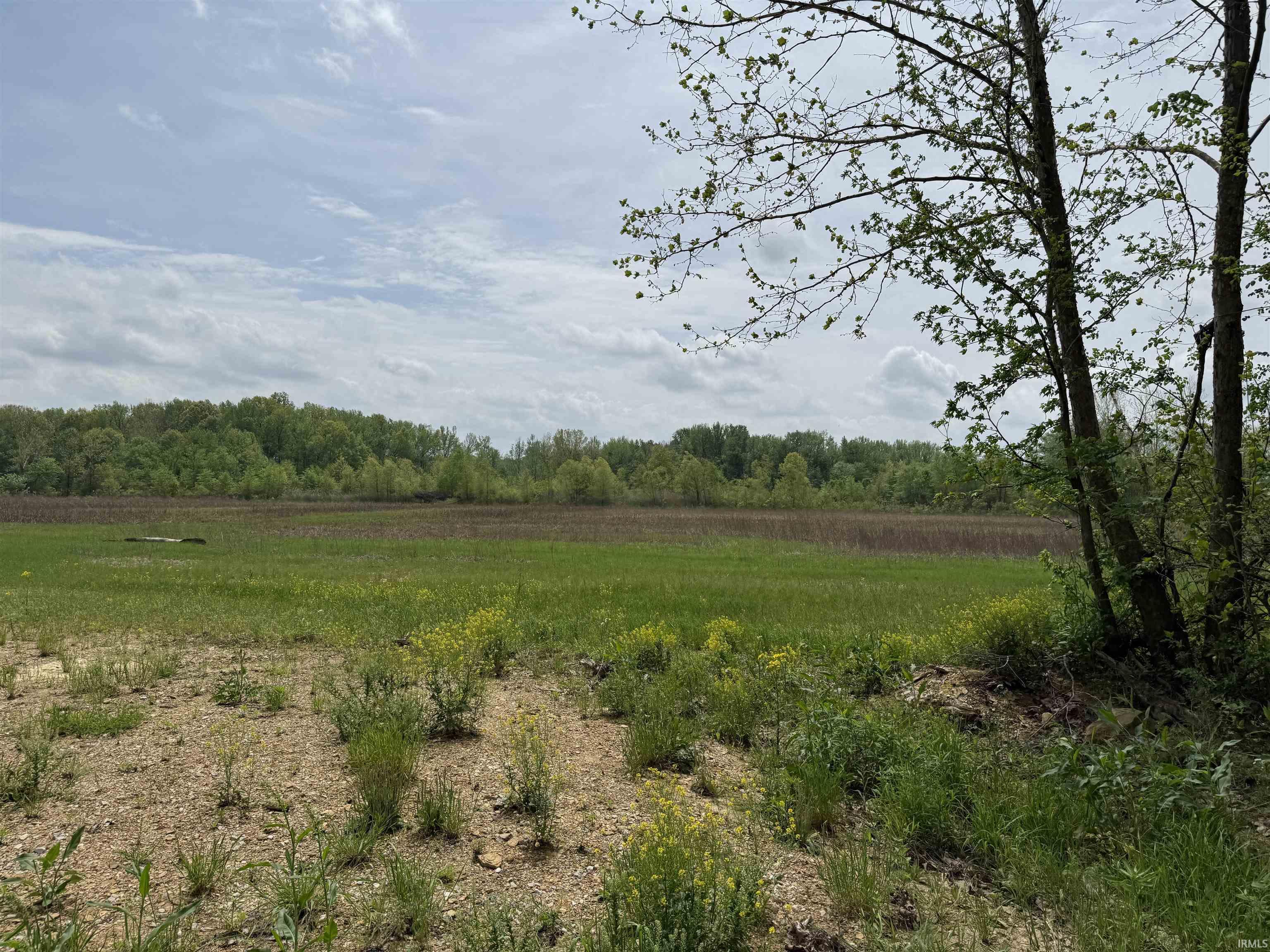 61 South State Road Winslow, IN 47598 - Photo 17 of 29 Gallery Image 17
